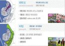 해양과 환경 발표 - 간척사업 소개, 간척사업을 둘러싼 논쟁들, 새만금 사업에 대한 궁금증 17페이지