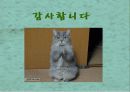 해양과 환경 발표 - 간척사업 소개, 간척사업을 둘러싼 논쟁들, 새만금 사업에 대한 궁금증 35페이지