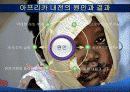 내전, 가난한 사람만을 위한 전쟁  8페이지