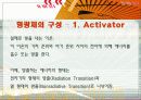 [무기화학실험] phosphor 17페이지