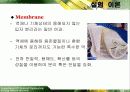 물질전달 설계자료(증류탑설계-물50%알콜50% 분리하는 증류탑) - Membrane Distillation 11페이지