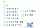 보톡스의 허와 실 2페이지