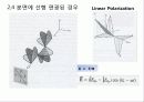광학 편광  5페이지