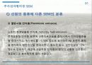 Scanning Electron Microscope (SEM, 주사전자현미경) 23페이지