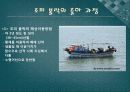 수산물유통및 양식어류(광어,우럭) 18페이지