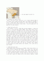 브라질 경제발전, 공업화 전략, 수입대체, 추진 단계, 향후 경제전망, 한국 경제 발전과 비교, 특징, 경제적 효과, 현황, 룰라, 역할, 시사점, 미래 전망 조사분석 5페이지