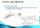 애플 아이팟(Ipod) 성공요인, 과정, 문화 충격, 우리나라의 미친 영향, 경제 발전, 비교 분석, 특징, 경제적 효과, 현황, 관리, 역할, 시사점, 미래 전망, 나아갈 방향, 조사분석 11페이지