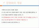 공항의 민영화 실태 4페이지