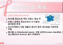 FRANCE (프랑스) 25페이지