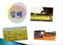 김해 지역 문화, 산업, 종류, 가치 평가, 경제적 효과, 등장배경, 요인, 특징, 중요성, 지역경제 개발사례, 유래, 전략, 역할, 향후 전망, 시사점 4페이지