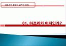 아프리카 경제 과거, 역사, 미래, 발전, 문제점, 아프리카의 매력, 새로운 바람, 현황, 정책, 경제적 효과, 관리, 역할, 시사점, 미래 전망, 나아갈 방향, 조사분석 3페이지