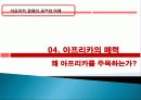 아프리카 경제 과거, 역사, 미래, 발전, 문제점, 아프리카의 매력, 새로운 바람, 현황, 정책, 경제적 효과, 관리, 역할, 시사점, 미래 전망, 나아갈 방향, 조사분석 26페이지