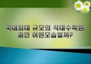 석대 수목원 개발 배경, 국내 최대 수목원으로 발전 전략, 산림치유개념, 지역 개발 성공 전략, 경제 효과, 특징, 현황, 사례, 관리, 역할, 기법, 시사점, 조사분석 4페이지