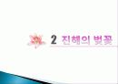 진해 군항제와 군항문화 벚꽃축제의 경제적 효과, 등장배경, 성공 요인, 전략, 특징, 중요성, 지역경제 개발사례, 유래, 현황, 관리, 역할, 전망, 시사점 분석 6페이지