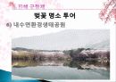 진해 군항제와 군항문화 벚꽃축제의 경제적 효과, 등장배경, 성공 요인, 전략, 특징, 중요성, 지역경제 개발사례, 유래, 현황, 관리, 역할, 전망, 시사점 분석 18페이지