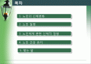 [노인복지]노인건강 2페이지