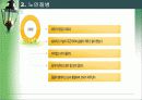 [노인복지]노인건강 15페이지