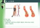 [노인복지]노인건강 16페이지