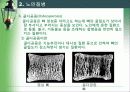 [노인복지]노인건강 23페이지