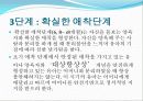 [보육과정] 아동기 발달 34페이지