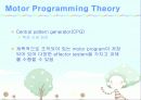 Motor control 이론 17페이지
