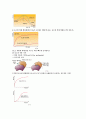 에너지와 효소 13페이지