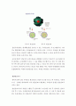 원자력에너지 원자력발전 필요성 원자력발전 역사 원자력발전 현황 원자력발전 설계 원전 사고 19페이지
