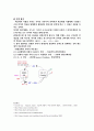 제초제가 식물체에 미치는 영향 report(10／25) 8페이지