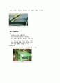 AGV와 컨베이어(Conveyor) 개념  3페이지