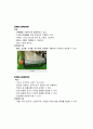 AGV와 컨베이어(Conveyor) 개념  4페이지