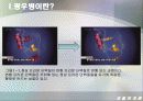 [생물학개론] 광우병관련 mcd (Mad Cow Disease) 6페이지