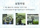 기체상수의 결정 12페이지