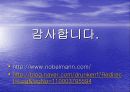 독일의 행정구역과 도시  18페이지