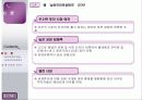 남아공(남아프리카공화국) 네비게이션 마케팅 전략 3페이지
