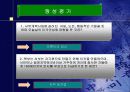 미국의 발전 23페이지
