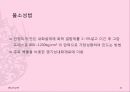 내화재료 기존발표 12페이지