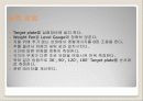베르누이 법칙 증명(Beronoulli theorem demonstration)  15페이지
