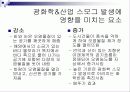 대기오염 8페이지