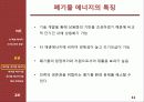 [열역학] 신 재생 에너지 기술 - 폐기물과 폐기물 에너지관련 기술 및 동향 11페이지