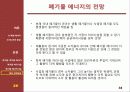 [열역학] 신 재생 에너지 기술 - 폐기물과 폐기물 에너지관련 기술 및 동향 34페이지