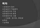 연료전지 2페이지