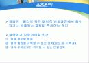 연소열측정  12페이지