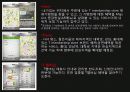 연령대별 선호 어플리케이션 및 스마트폰 보안 6페이지