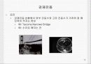 일반물리 '진동'에 관한 보고서 19페이지
