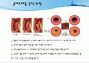 고지혈증이란 무엇인가  15페이지