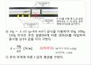 일반물리 레포트(단조화 운동)  9페이지