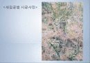 조경 사방공사  10페이지