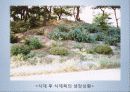 조경 사방공사  18페이지