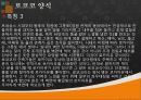 유럽문화  유럽 시대별 건축 양식  11페이지