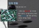 CJ 제일제당 재무재표 분석 12페이지